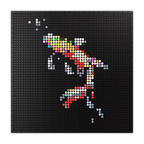 "The Koi" von Oliver Thrill, GER (48x48)